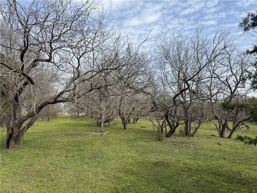 China Spring, TX 76633,16459 China Spring Road