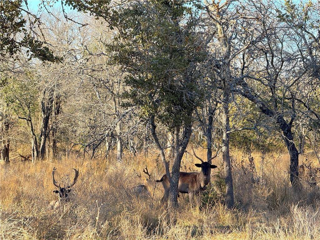 Hamilton, TX 76531,1782 FM 218 Road