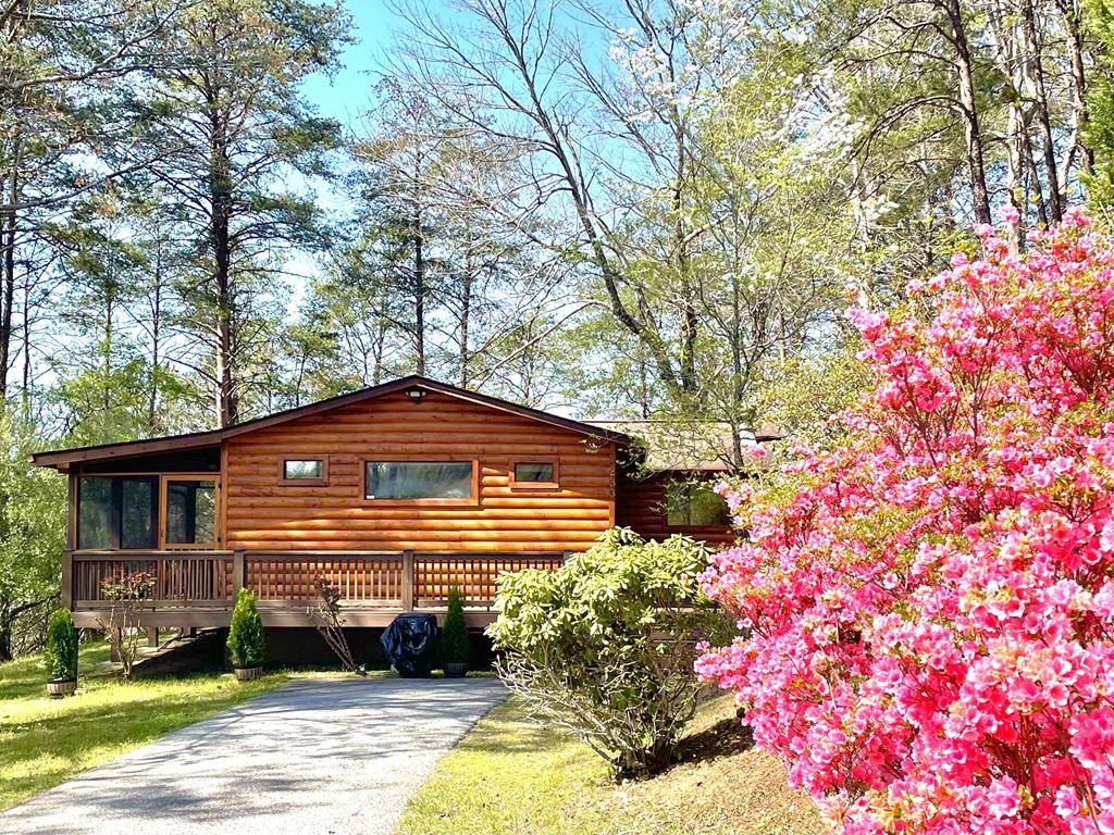 Mineral Bluff, GA 30559,233 River Hills