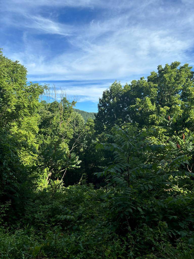 Tannersville, VA 24377,TBD Veterans Road