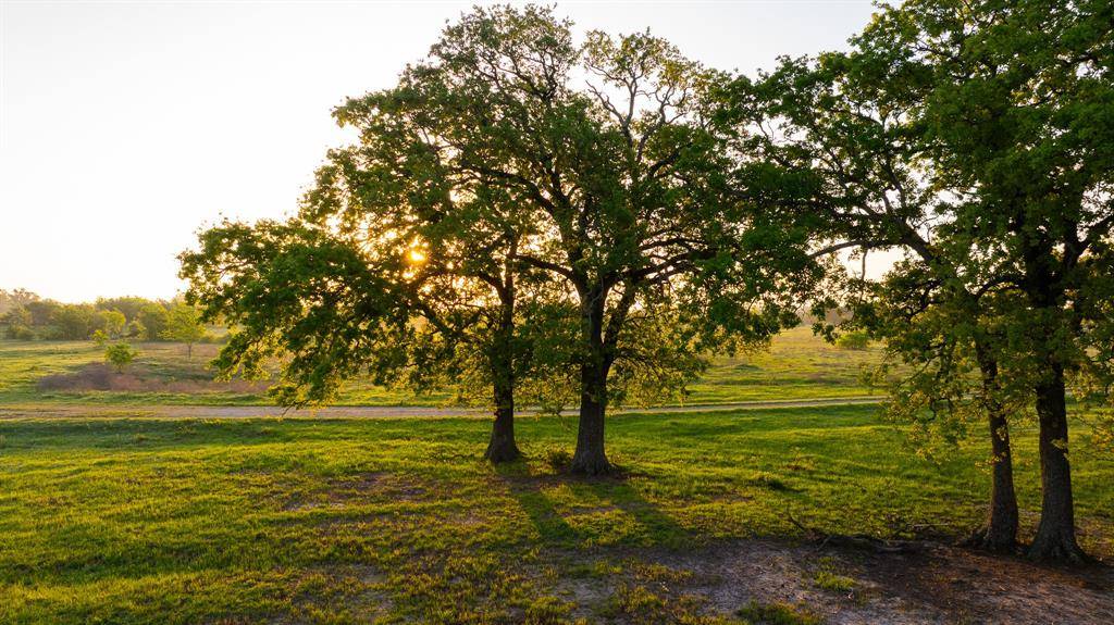 Donie, TX 75838,1020 County Road 751