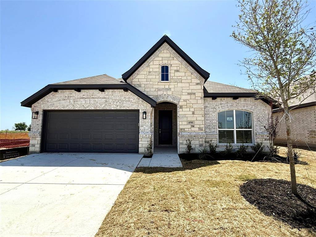 Fort Worth, TX 76036,4501 Snakeweed