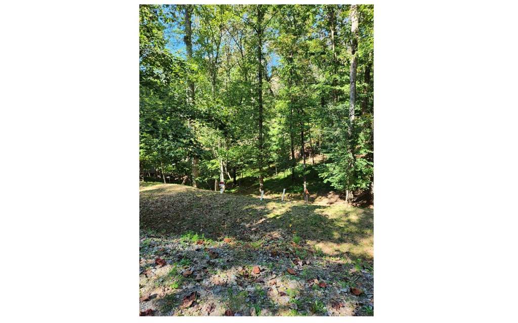 Ellijay, GA 30540,397 5th Street