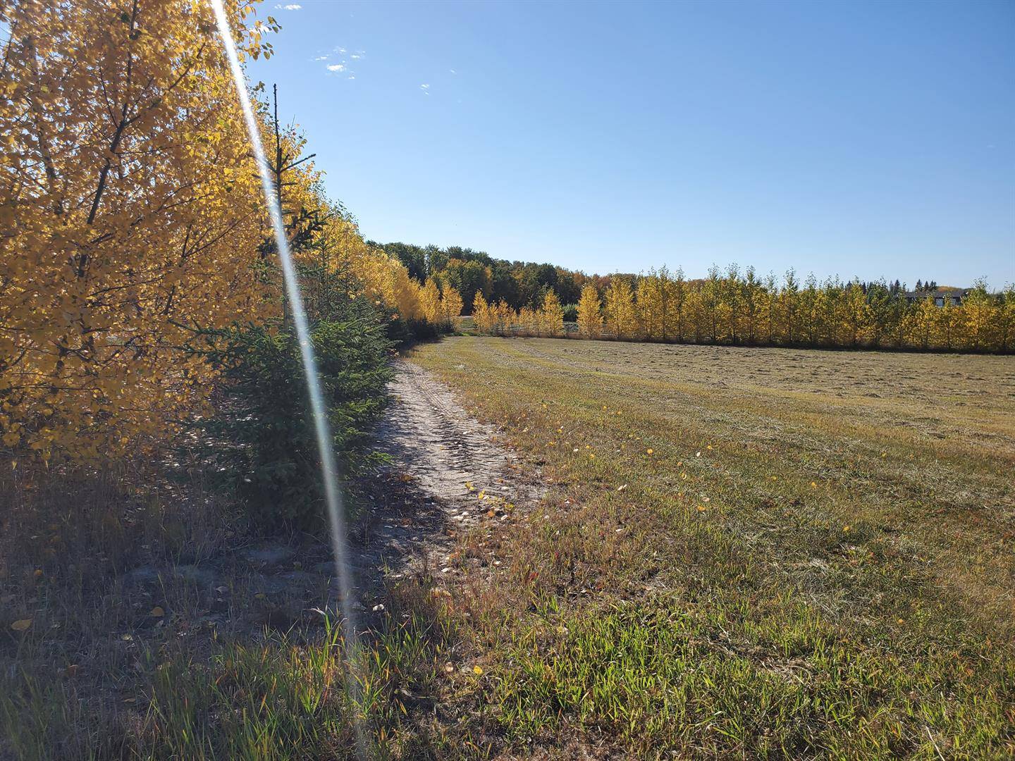 Plamondon, AB T0A 2T0,68126 Campsite Road