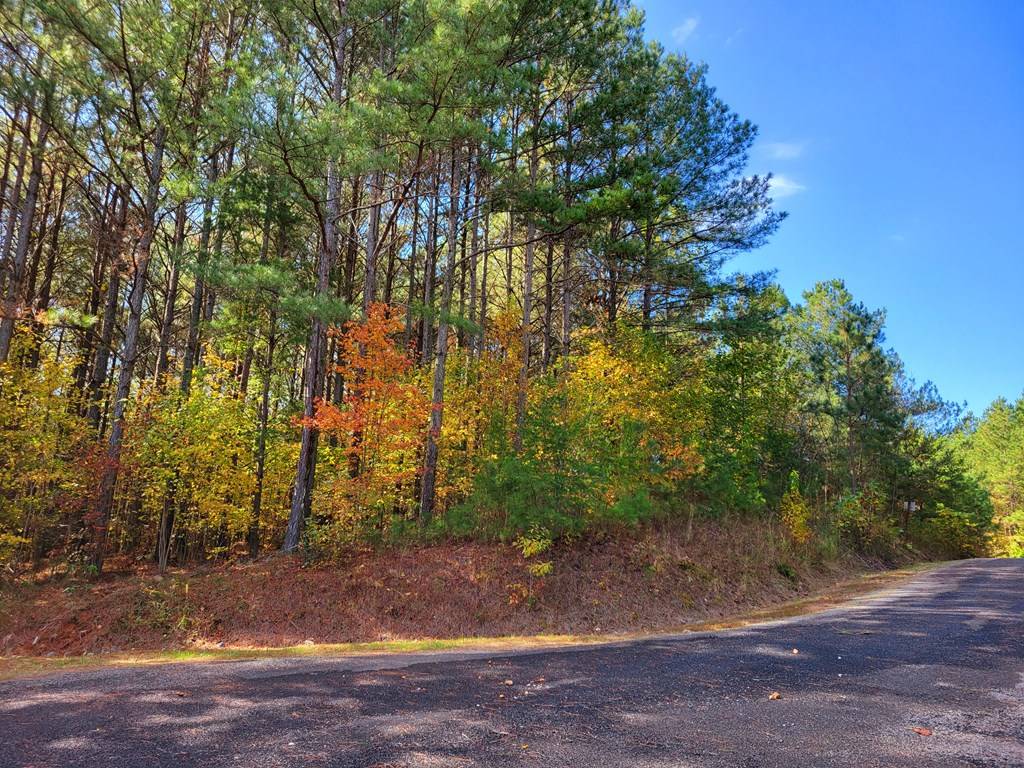 Ellijay, GA 30536,LOT 6 Black Bear Ridge Road