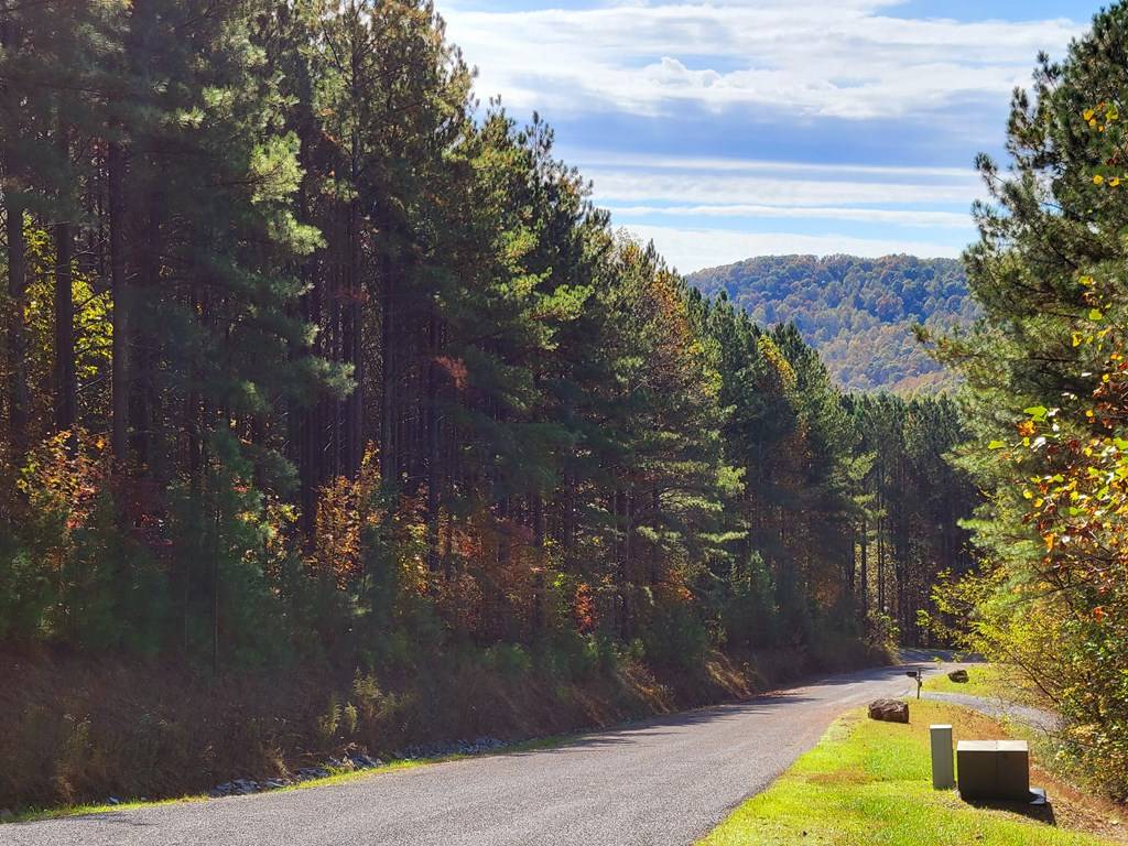 Ellijay, GA 30536,LOT 6 Black Bear Ridge Road