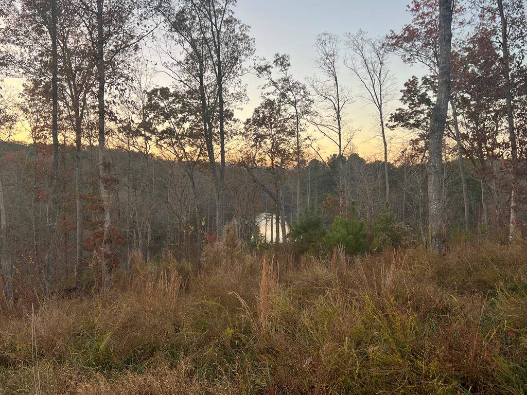 Ellijay, GA 30540,LOT 163 Lecroy Drive