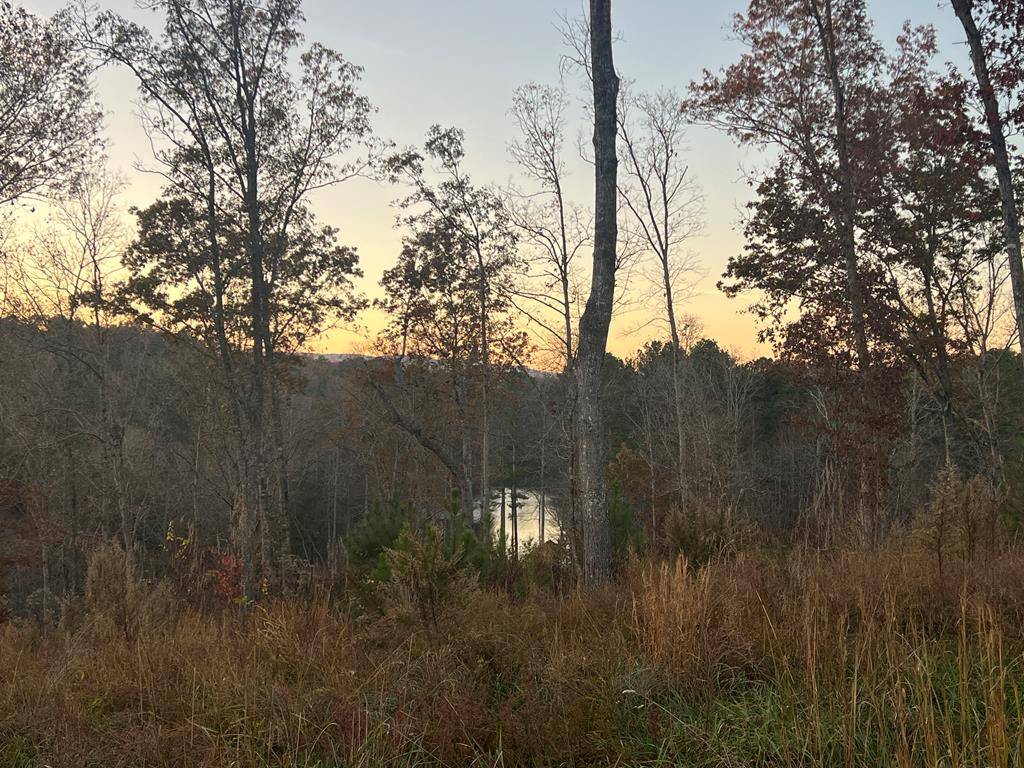 Ellijay, GA 30540,LOT 163 Lecroy Drive