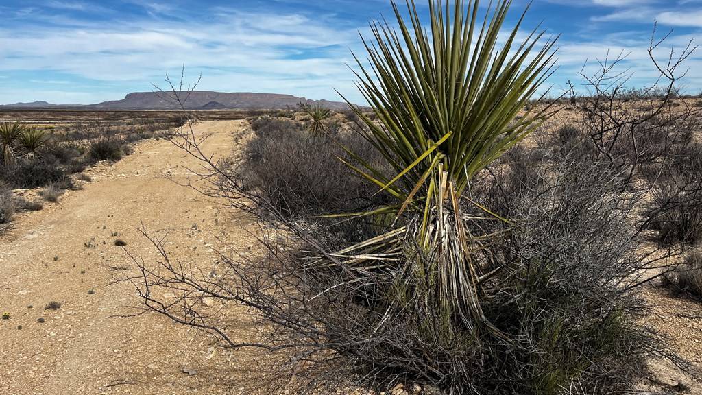 Terlingua, TX 79852,900 Rancho Manana LOOP
