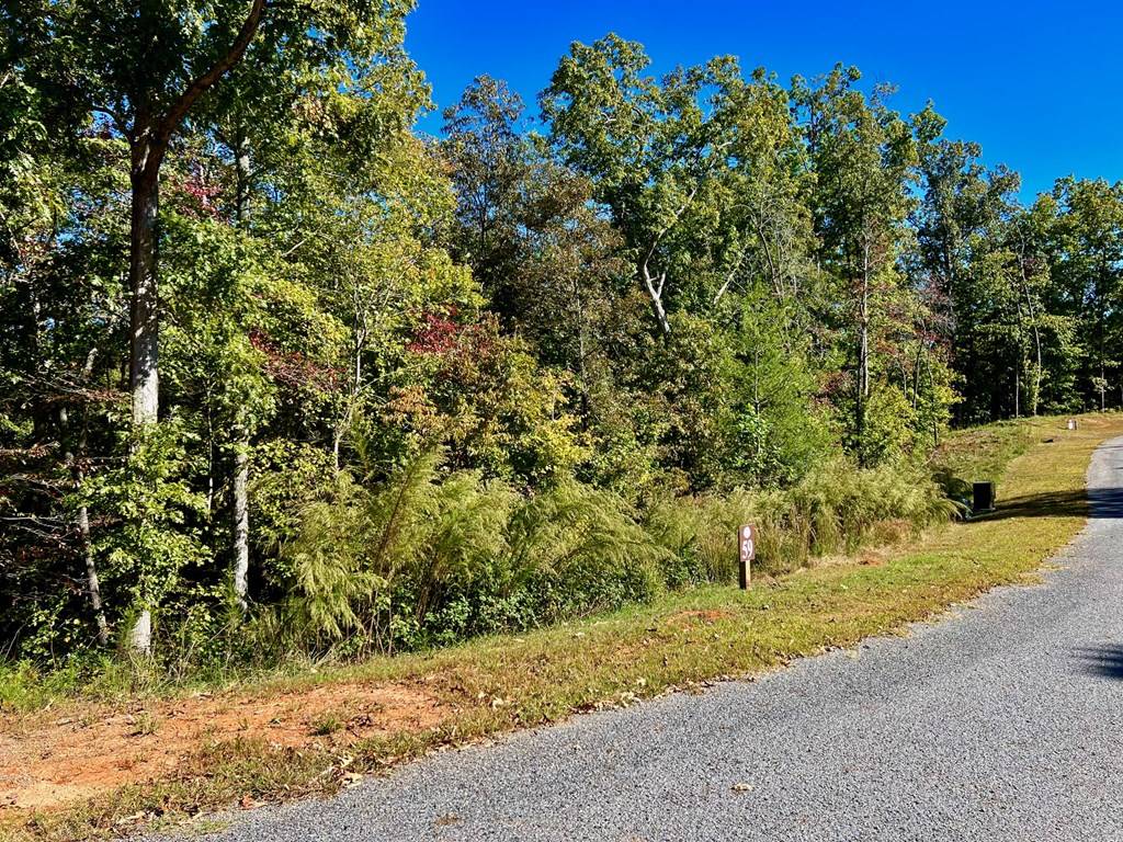 Ellijay, GA 30540,59 High River Landing