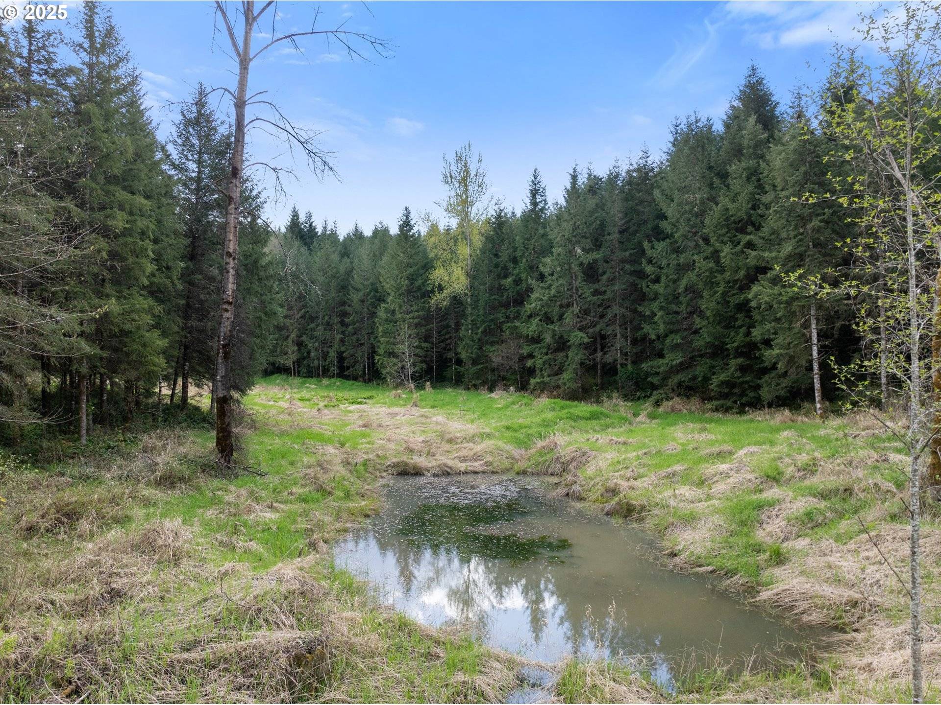 Toledo, WA 98591,0 TOOLEY RD