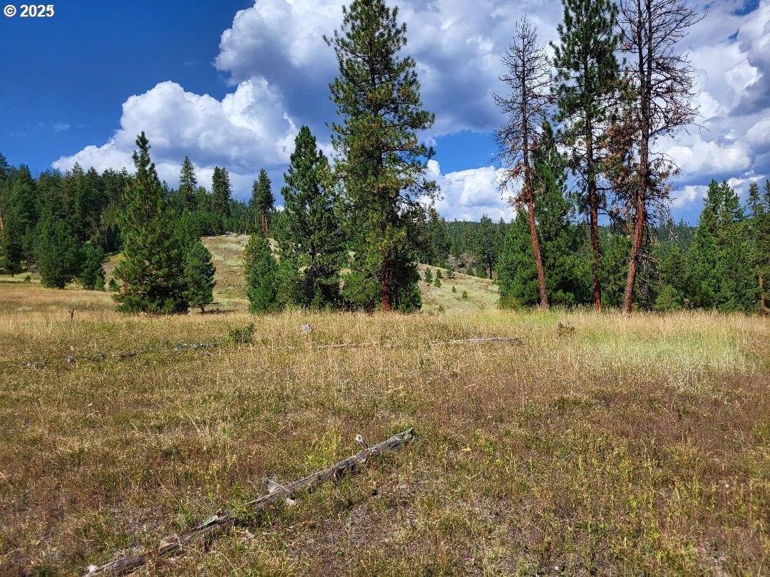 Bates, OR 97817,Middle Fork