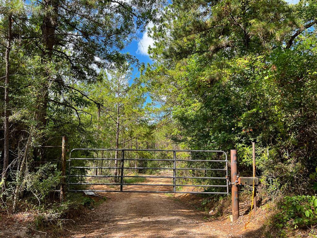 Zavalla, TX 75980,00 Slim Palmer Rd