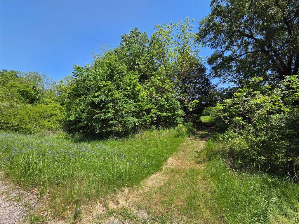 Kerens, TX 75144,Lot 2 SE CR 3258