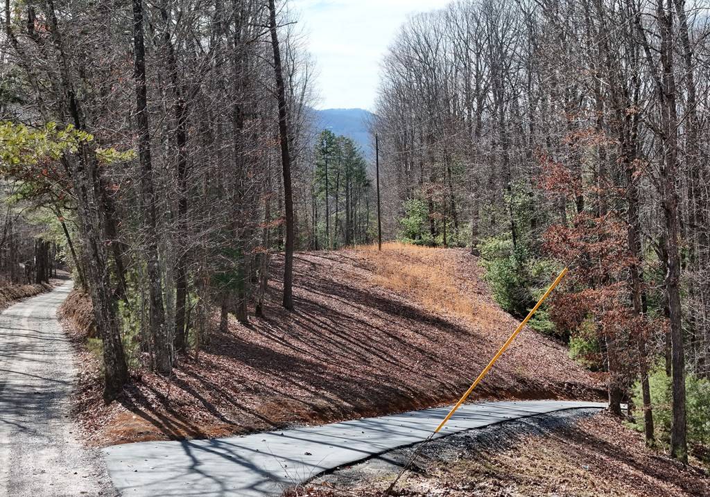 Morganton, GA 30560,2.94 Acr Padena Road