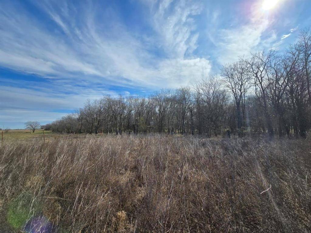 Pecan Gap, TX 75469,FM 904 S-ES County Line Road