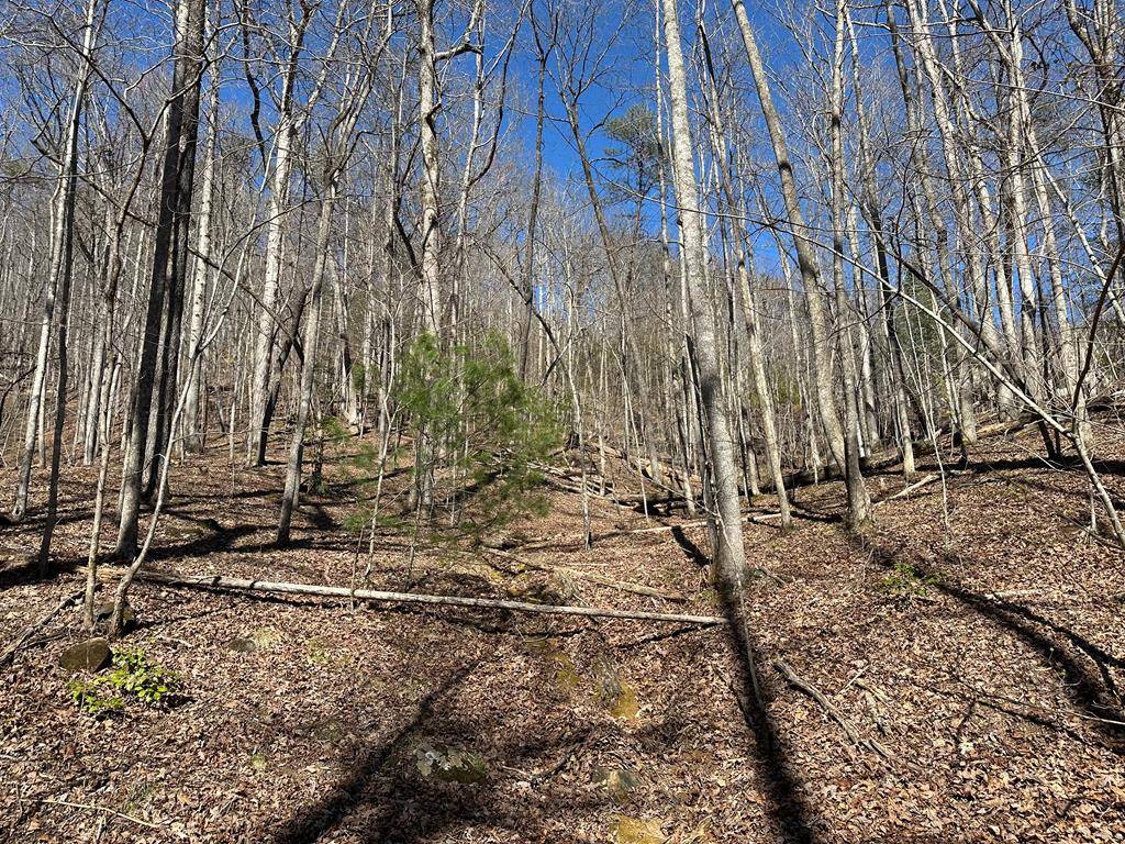 Young Harris, GA 30582,LT 95/97 Asheland Cove