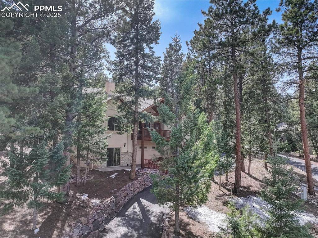 Woodland Park, CO 80863,1145 Windflower LN
