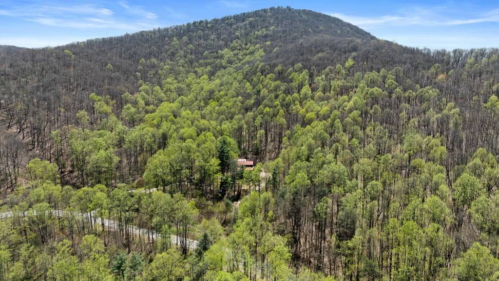 Suches, GA 30572,65 Caldwell Mountain Road