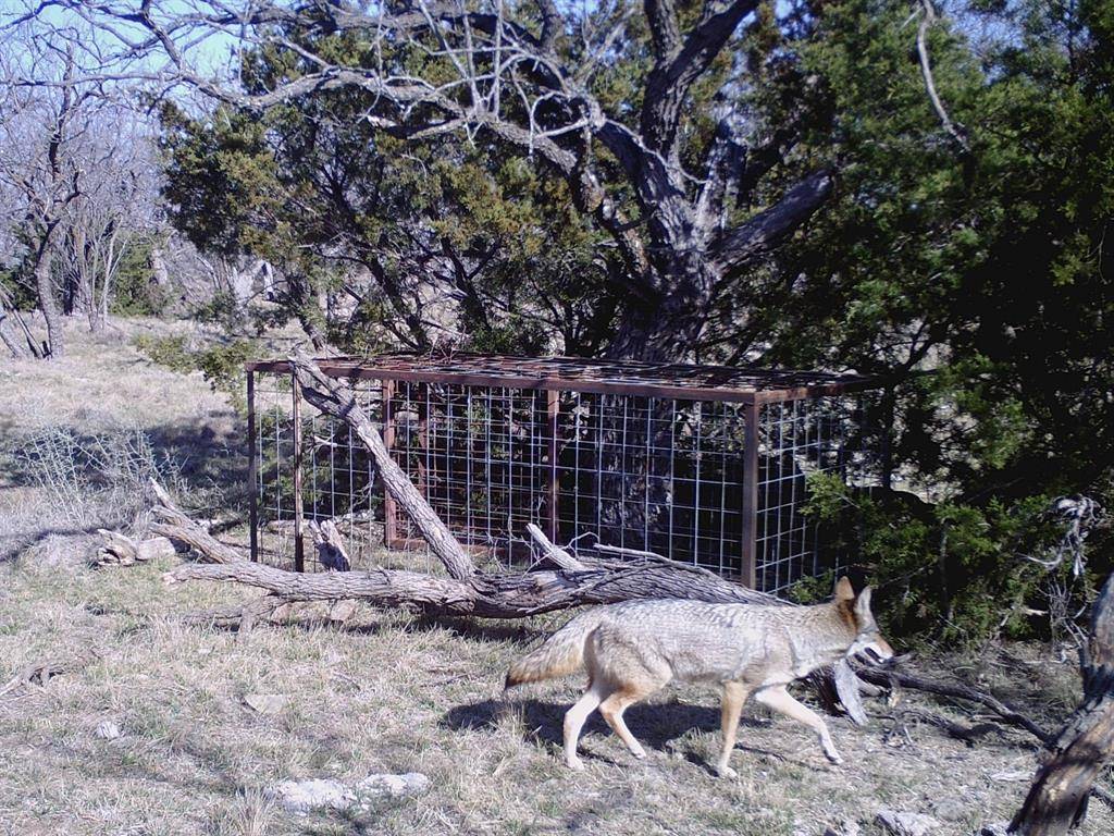 Graford, TX 76449,LOT 1 RR Grassy Ridge Road
