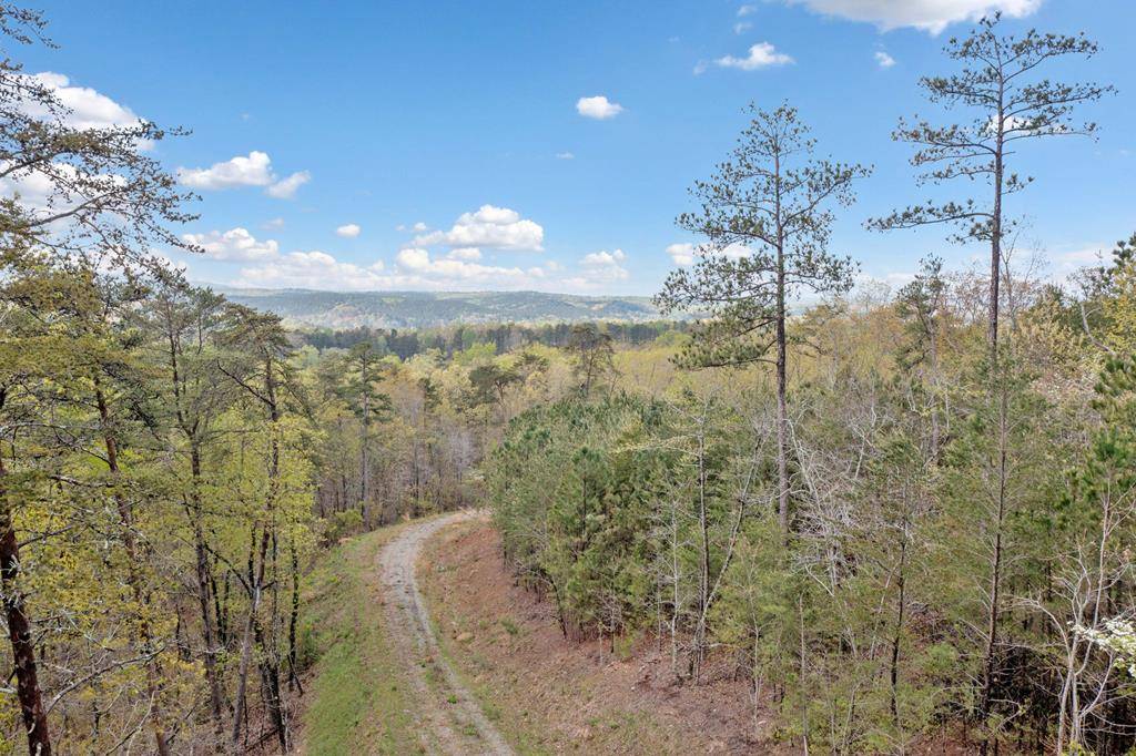 Talking Rock, GA 30175,287 Lookout Valley Trail