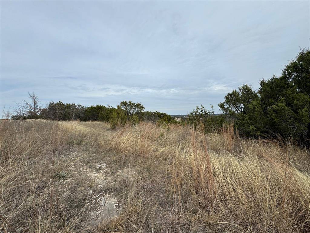 Bluff Dale, TX 76433,TBD Skyline Drive