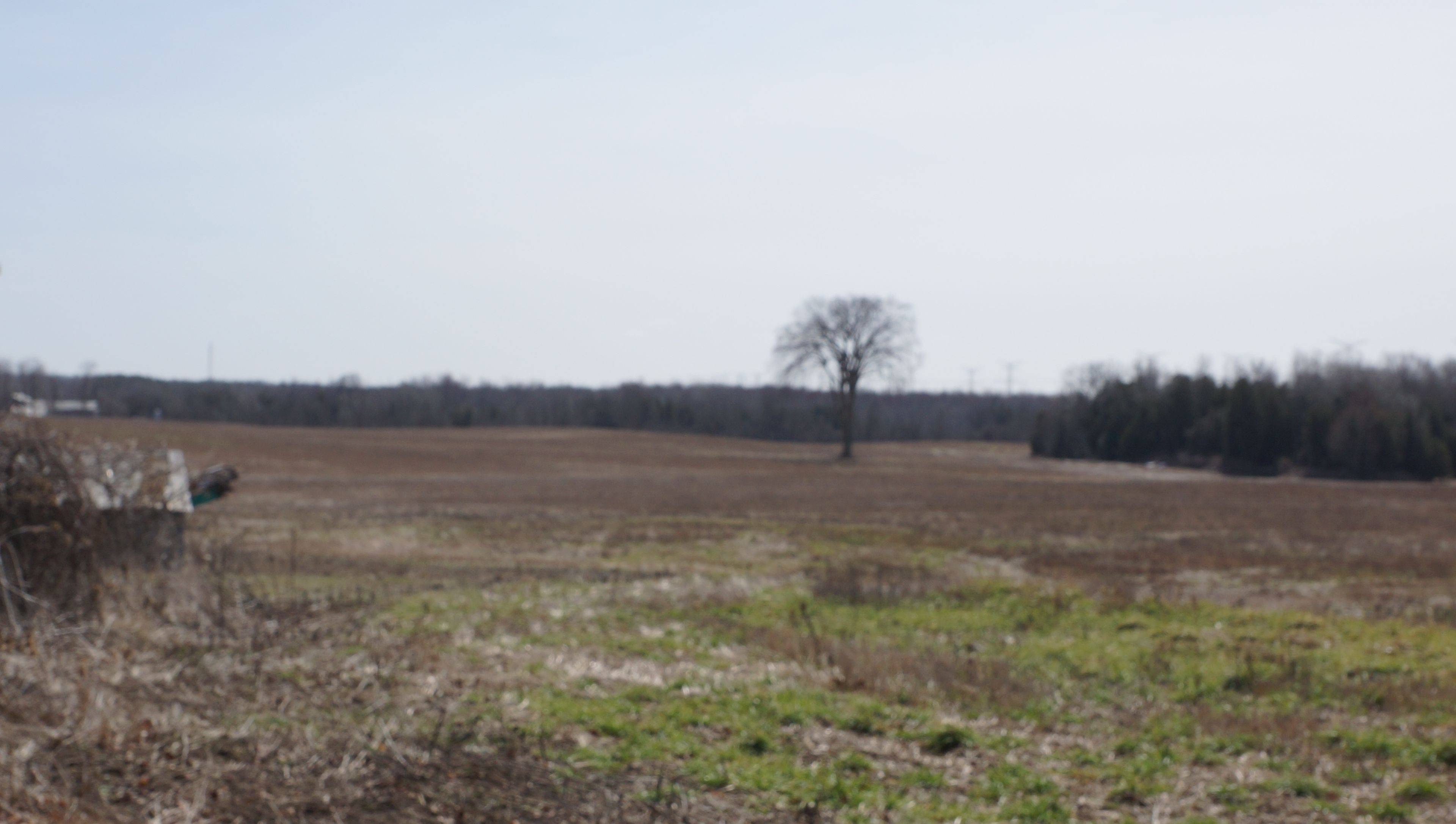 Halton Hills, ON L7J 2L8,10894 32 Side Road N