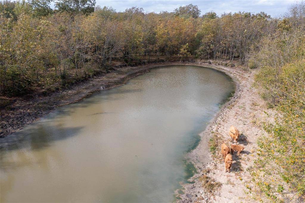 Campbell, TX 75422,4081 FM 2736 #A