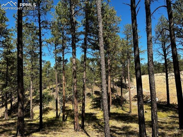 Colorado Springs, CO 80908,14864 Bourbon CT