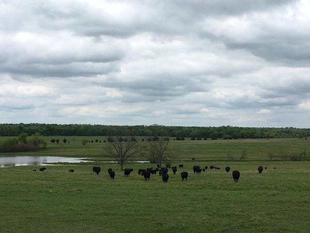 Roxton, TX 75477,00 Farm Road 2675