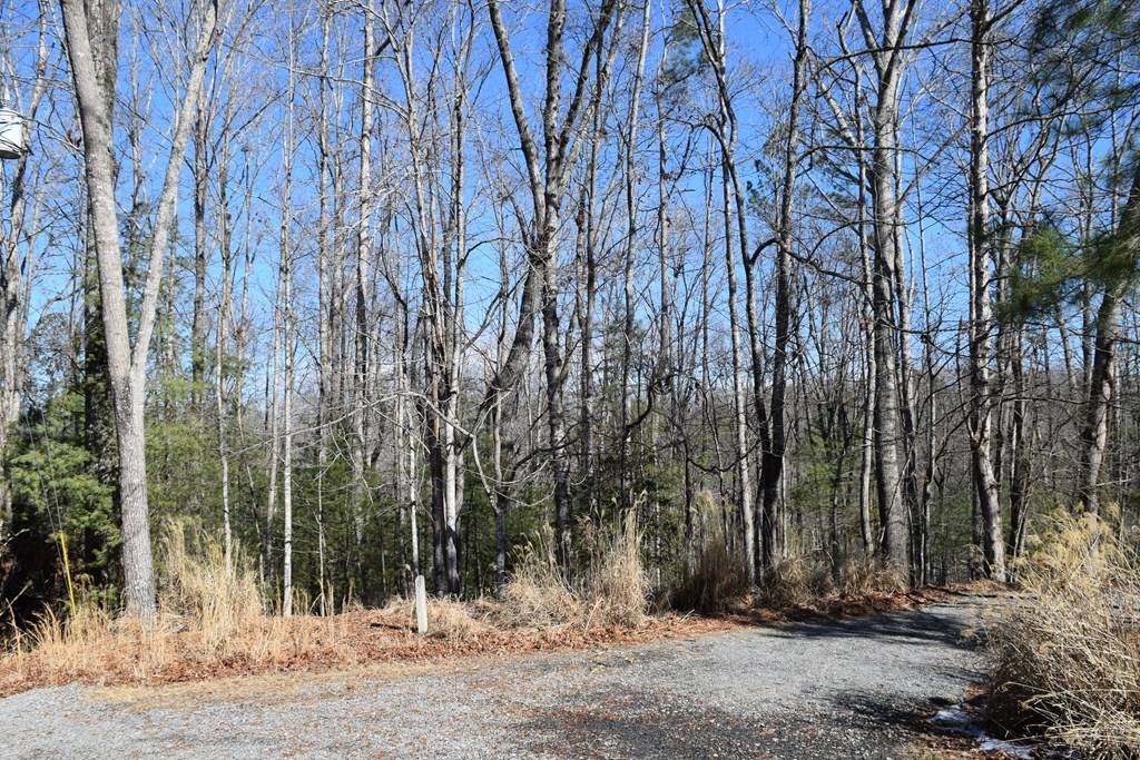 Ellijay, GA 30540,LT 3421 Hart Court