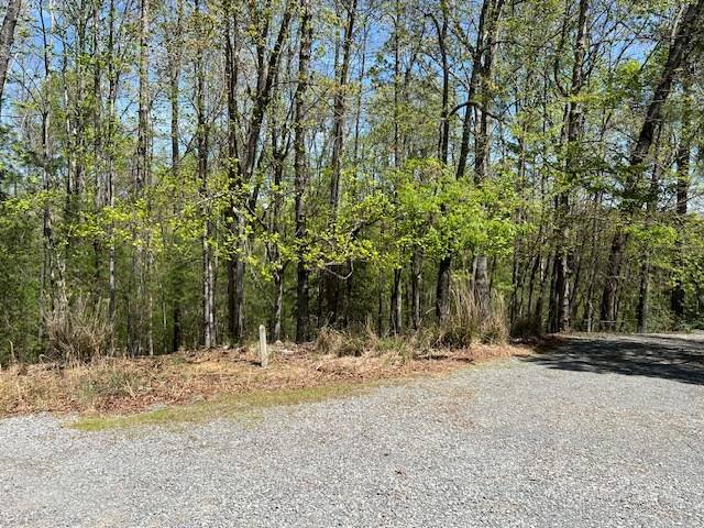 Ellijay, GA 30540,LT 3421 Hart Court