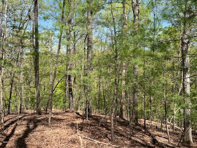 Ellijay, GA 30540,LT 3421 Hart Court