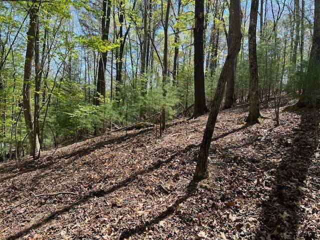 Ellijay, GA 30540,LT 3421 Hart Court