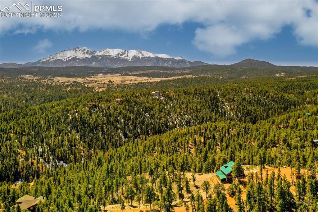 Woodland Park, CO 80863,2 Pinecrest RD