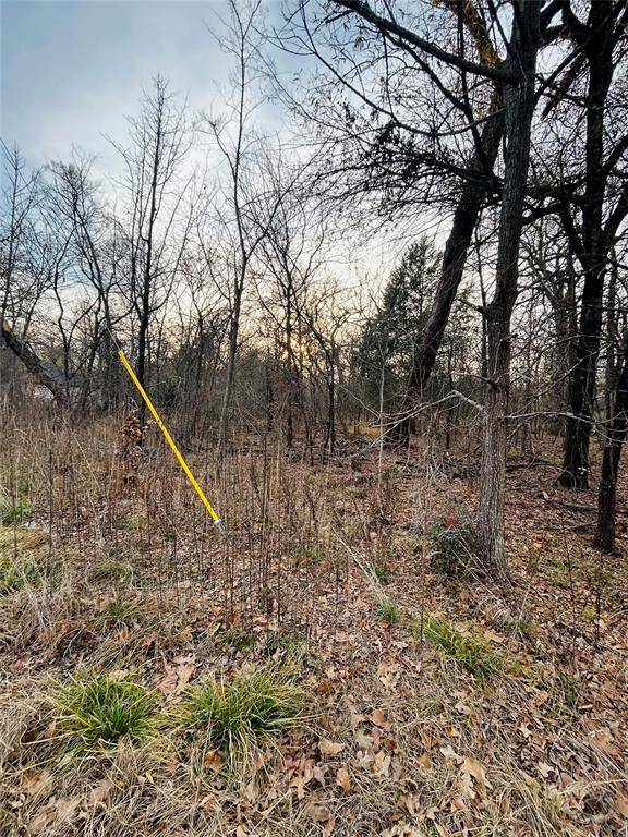 Trinidad, TX 75163,00 Lakeview Drive