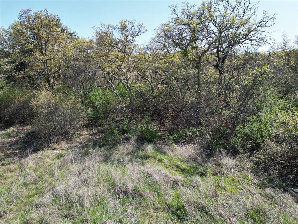 Cisco, TX 76437,Lot 148 Hidden Shores Dr.