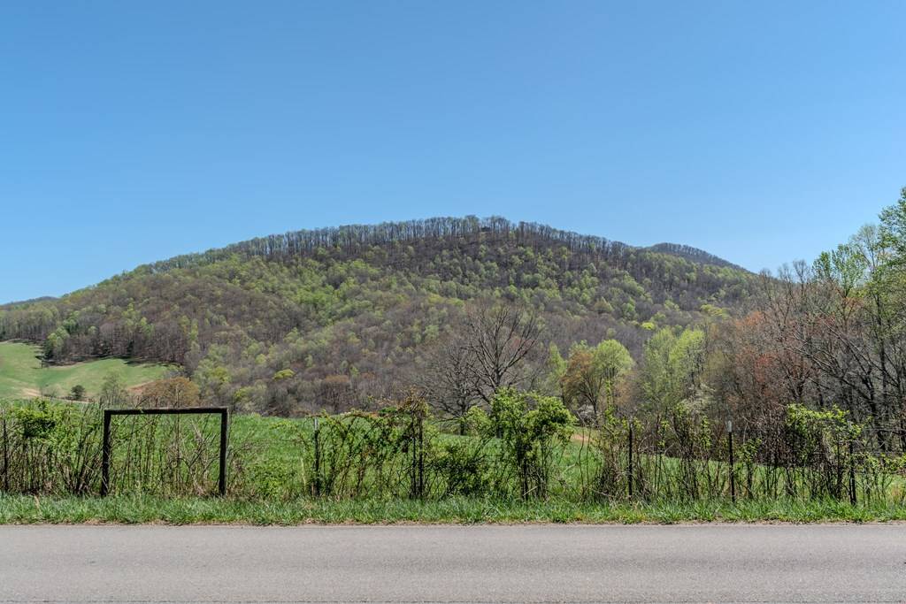 Morganton, GA 30560,13.75AC Tipton Springs Road