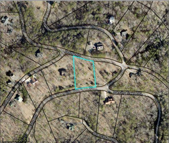 Morganton, GA 30540,Lot 252 Dolittle Road