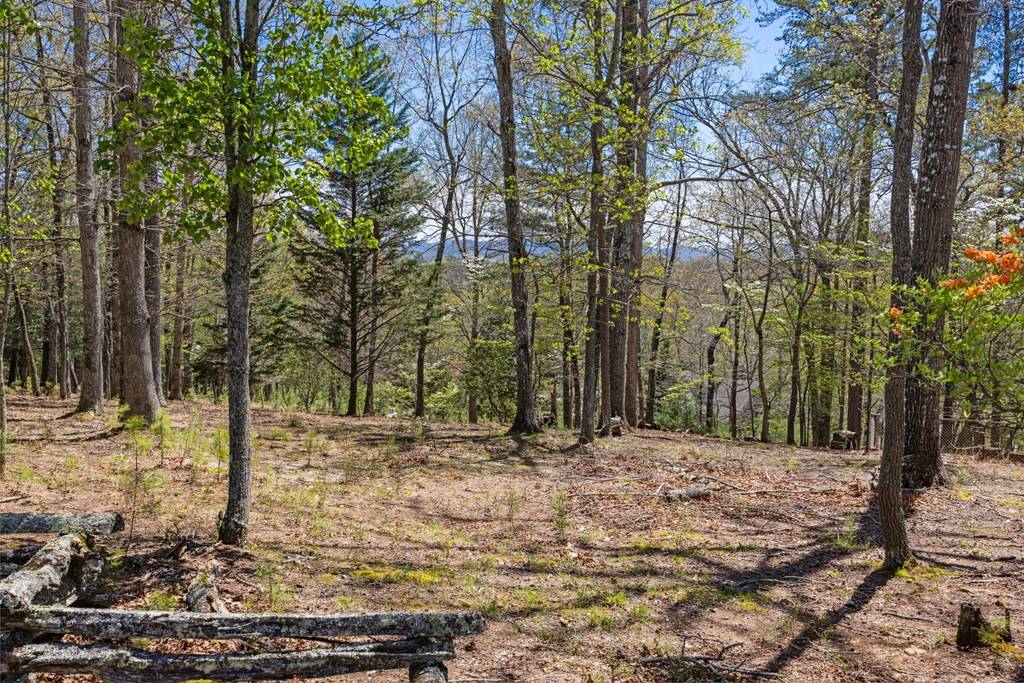 Morganton, GA 30540,Lot 252 Dolittle Road