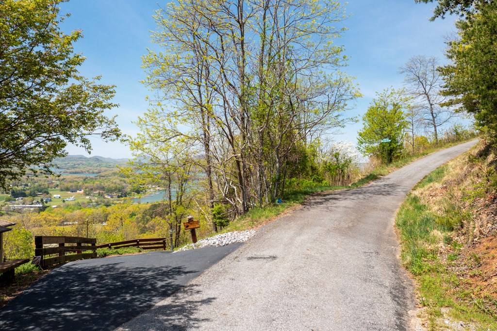 Hiawassee, GA 30546,Lot 34 Bell Meadows