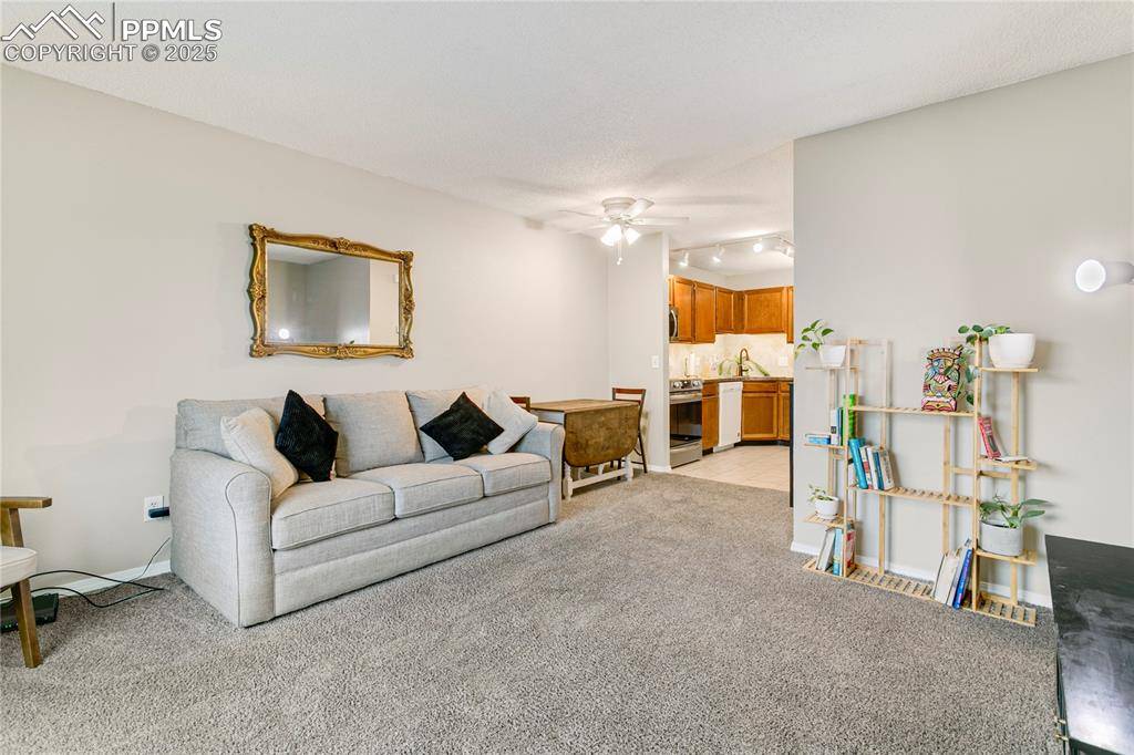 Colorado Springs, CO 80918,6301 Village LN