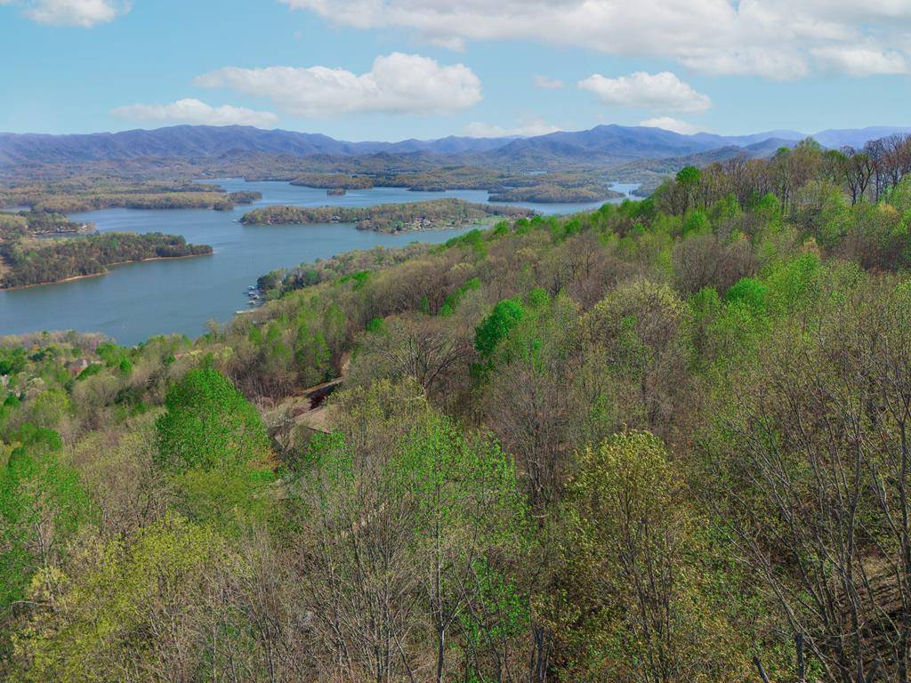 Hiawassee, GA 30546,890 Locust Trail