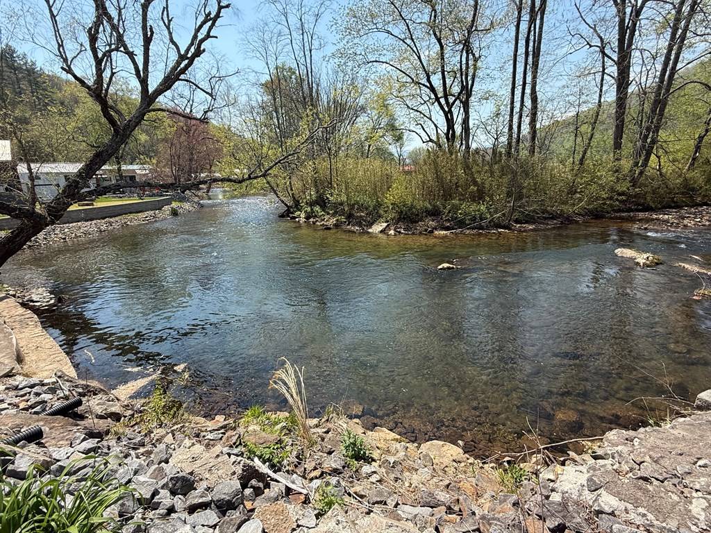 Hiawassee, GA 30546,4163 Riverbank Run