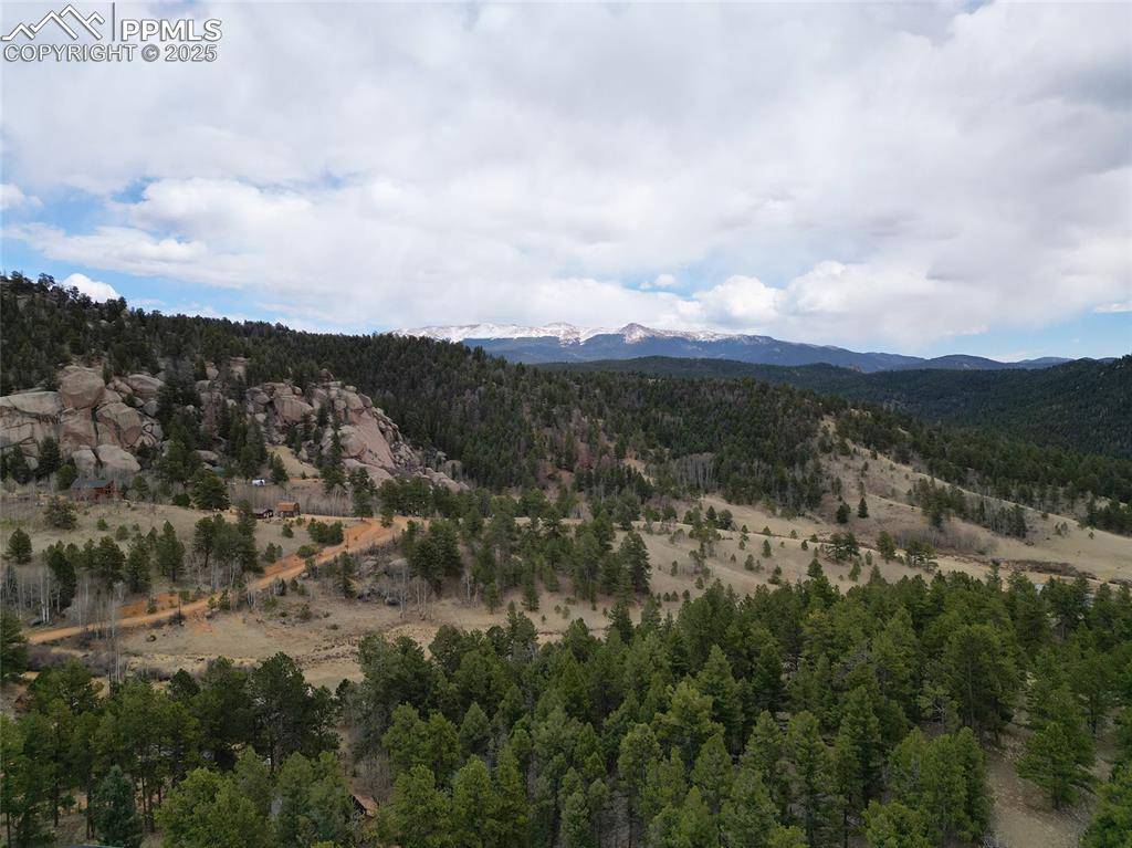 Florissant, CO 80816,475 Pinon LN