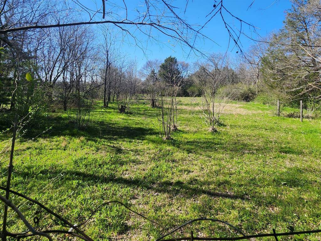 Terrell, TX 75160,000 Mineral Wells Street