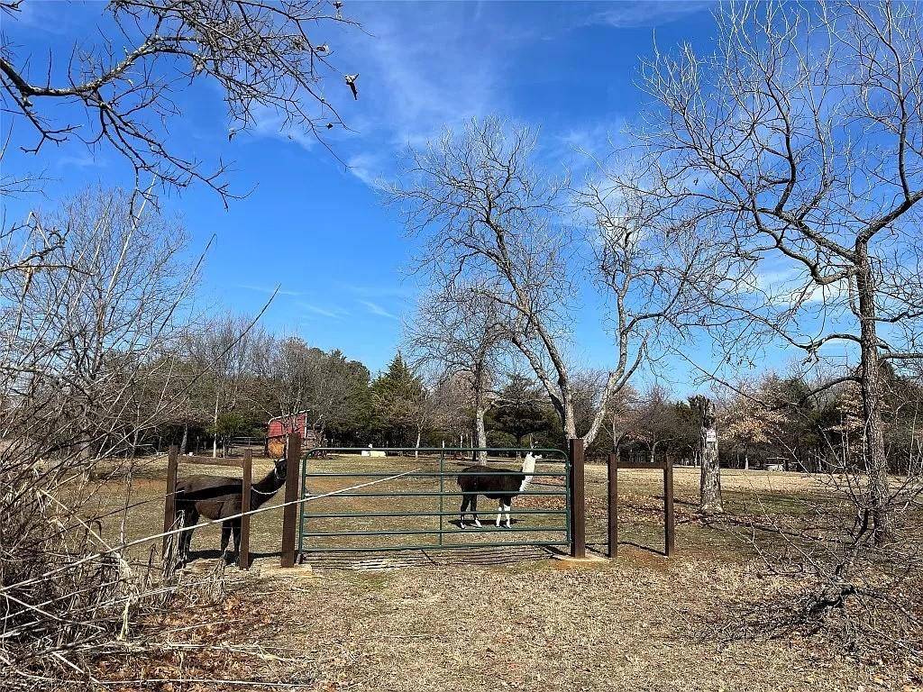 Flower Mound, TX 75022,3616 Sentinel Oak Drive