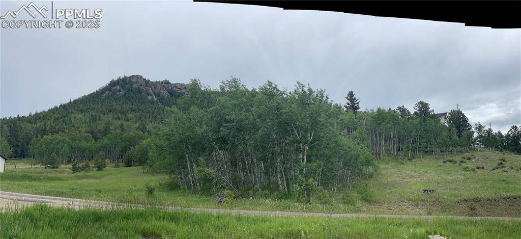 Lake George, CO 80827,7142 County Road 92