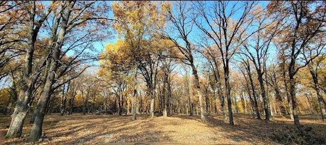 Bogata, TX 75417,1356 County Road 1470