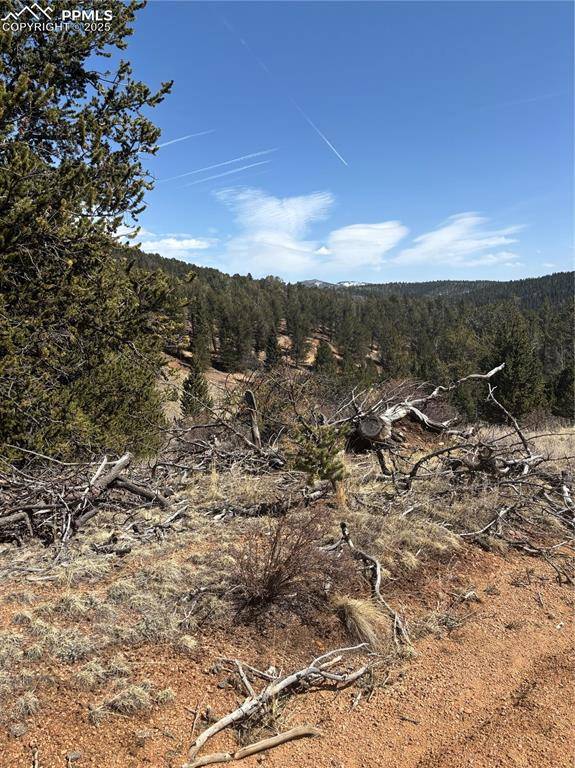 Cripple Creek, CO 80813,70 Brown Bear LN